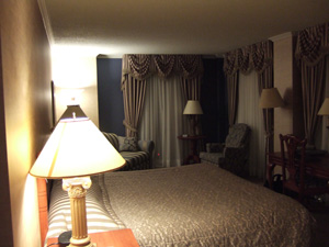 Hotel Palace Royal �Ҽ� @ ���٥å������ʥ�