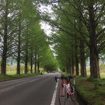 ロングライドの準備:琵琶湖一周サイクリング(ビワイチ)完走後のメモ