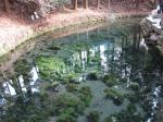 熊本訪問その６：物凄く綺麗な白川水源の美味しい水でコーヒーを飲む