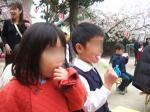 幼稚園の桜祭り