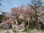 清々しい春の日に大文字山登山．その道順@京都