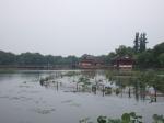 杭州市で中国十大風景名所として有名な西湖を観光