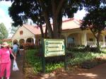 DAY7: ドールプランテーション（Dole Plantation）でパイナップル三昧